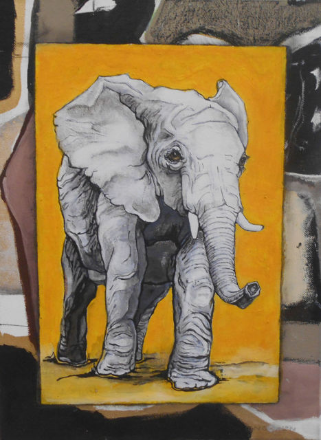 Elefant Bild